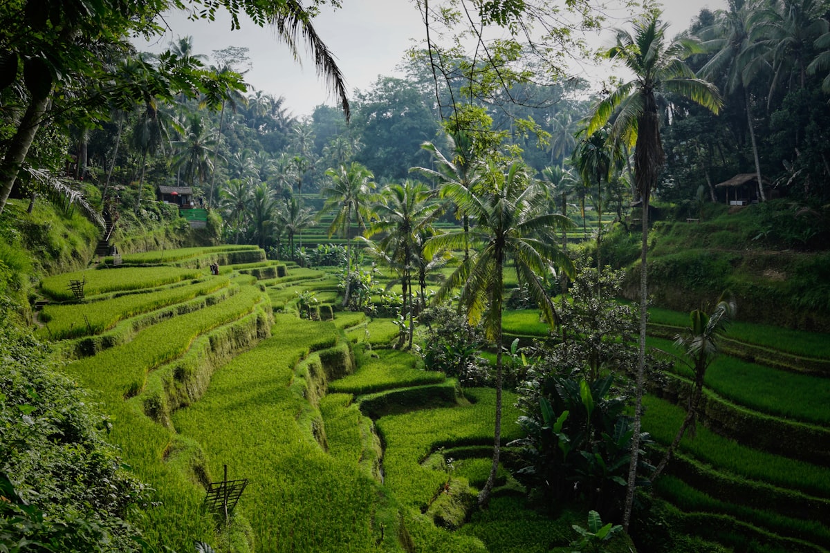 Three-Day Destination Celebration